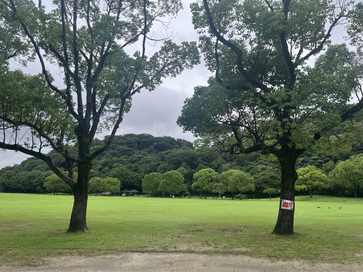 【幼児参加可】 山のことはじめ 〜アウトドアを五感で楽しもう！〜 in 福岡県 小倉