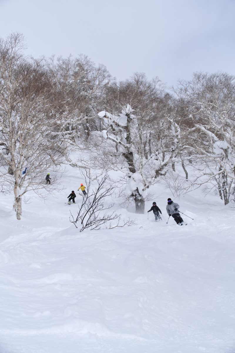 【スタッフレポ】キッズ Ski & Snowboard inキロロスノーワールド 北海道