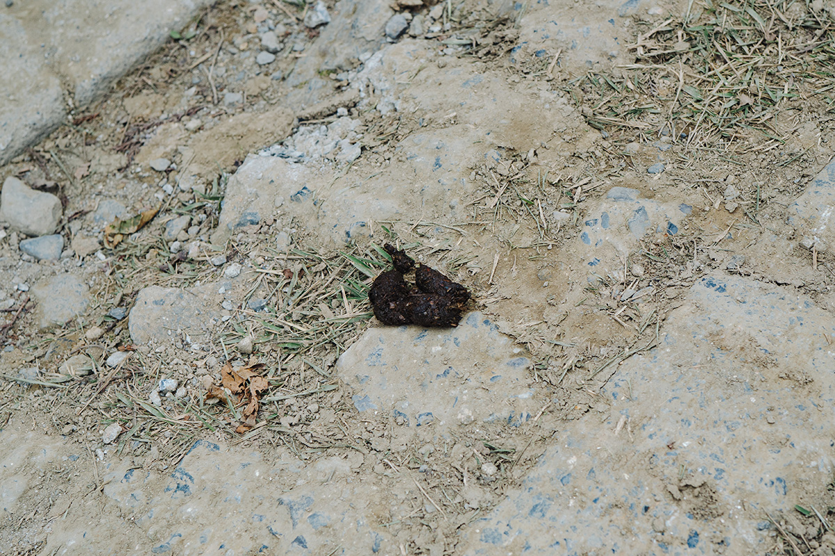 【校長レポ】蓬莱山ファミリーハイランドハイク