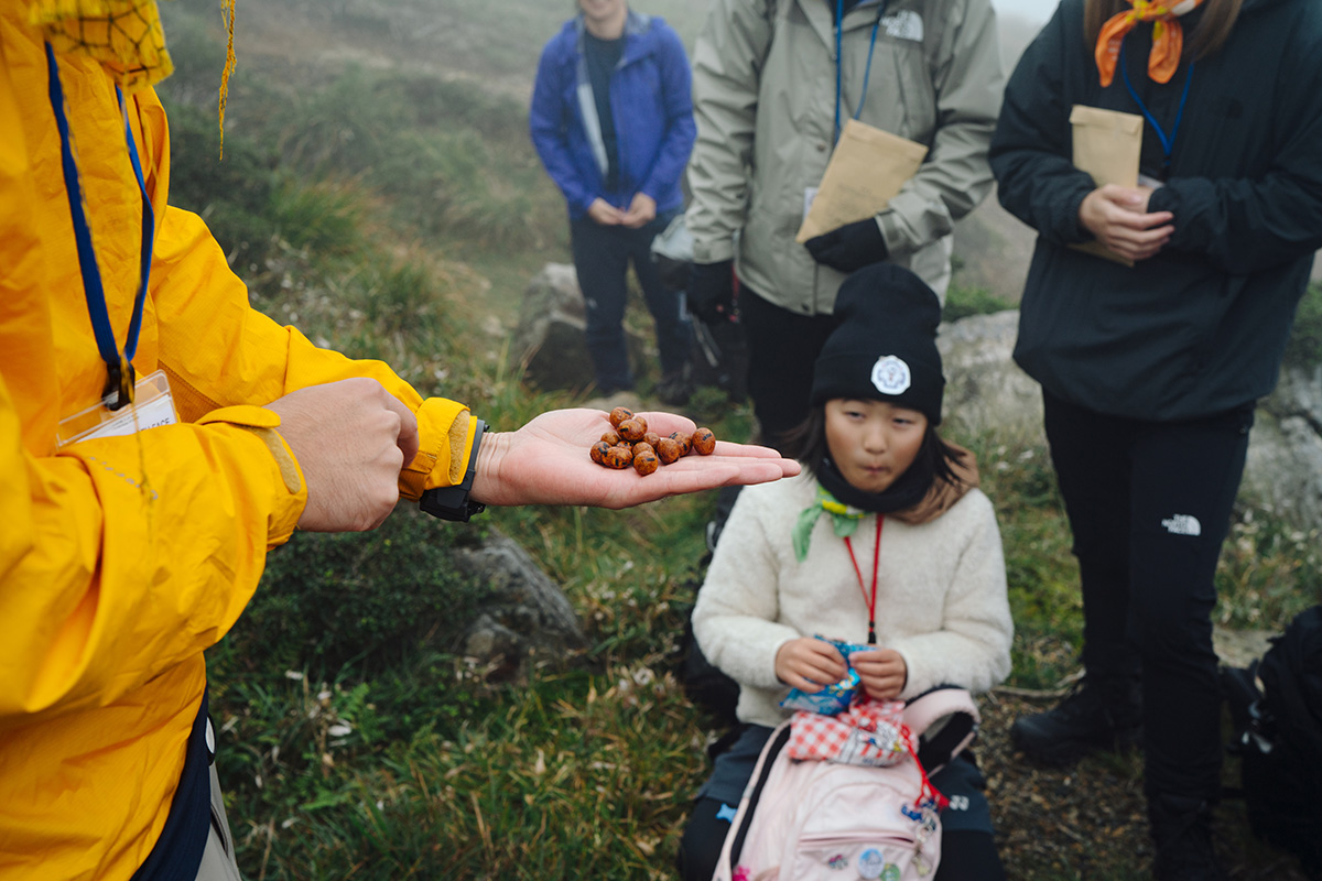 【校長レポ】蓬莱山ファミリーハイランドハイク