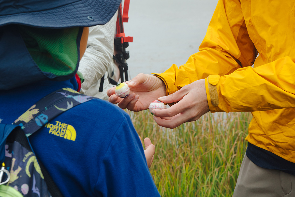 【校長レポ】蓬莱山ファミリーハイランドハイク
