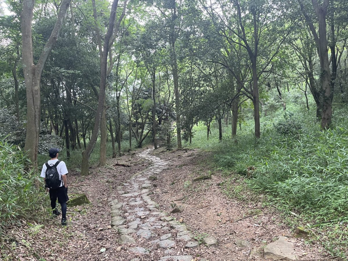 ファミリーナイトハイキング in 奈良県 生駒山